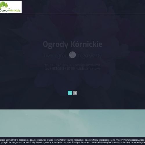 Drzewa alejowe Poznań