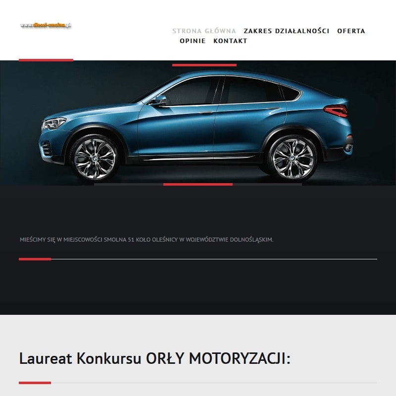 Naprawa wtryskiwaczy laskowice