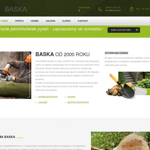 Przesadzanie drzew śląskie w Katowicach