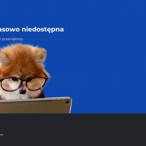 Deratyzacja - Warszawa